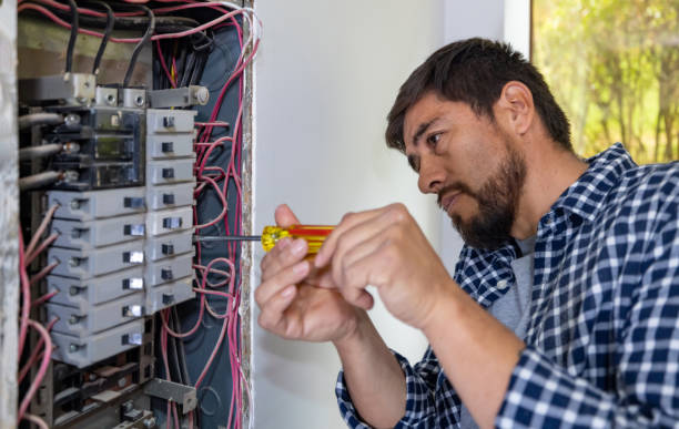 Best Electrical Upgrades for Homes  in Medina, MN